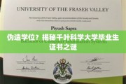 揭开千叶科学大学毕业生证书疑云，伪造学位背后真相曝光