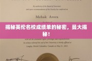 解码曼大成绩单，揭秘英国顶尖学府的学术密码