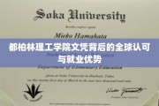 全球通行证，揭秘都柏林理工学院文凭的就业魔力