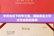 揭开学历光环，布兰登的真实大学文凭之旅