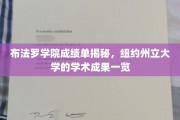 纽约州立之光，布法罗学院成绩单曝光，揭秘学术盛宴