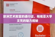 探索帕维亚大学，欧洲艺术教育的金钥匙