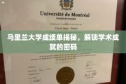马里兰大学成绩单解码，揭秘学术卓越的钥匙