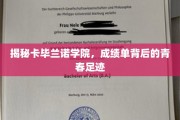 卡毕兰诺学院成绩单，解码青春岁月的璀璨足迹