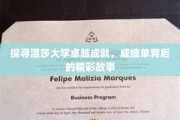 解码温莎荣耀，揭秘大学卓越背后的传奇篇章