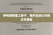 伊利诺斯理工精英揭秘，国际认可的文凭背后的传奇故事