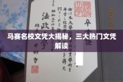 马赛精英教育探秘，三大热门文凭深度解析