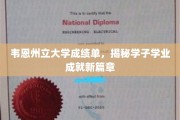 韦恩州立大学成绩单，揭秘学子学业成就新篇章