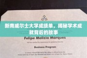 解码新南威尔士大学卓越成绩背后的非凡旅程