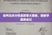 加州北岭分校学霸养成记，揭秘学霸背后的秘密成绩单