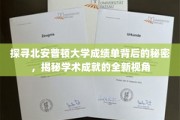 解码北安普顿大学成绩单，一窥学术成就的隐藏故事