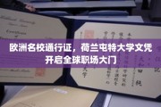 解锁国际职场新天地，荷兰屯特大学文凭，欧洲名校通行证在手！