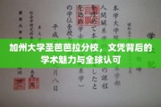 解码加州圣芭芭拉，文凭背后的学术瑰宝与全球声誉