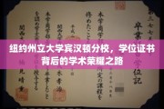 探寻纽约州立大学宾汉顿分校，学位证书背后的荣耀与挑战之旅