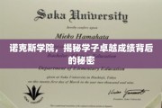 诺克斯学院学霸传奇，揭开卓越成绩的神秘面纱