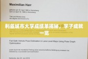 利兹城市大学成绩单揭秘，学子成就一览