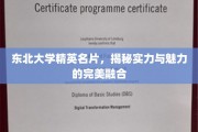 东北精英风采，东北大学实力与魅力双翼齐飞