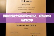 汉阳大学学霸养成，揭开成绩单背后的非凡历程