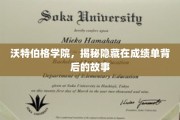 揭开沃特伯格学院成绩单背后的秘密世界
