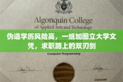 学历造假陷阱多，一纸图证文凭，求职路上的隐忧与挑战