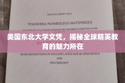 解锁美国东北大学文凭背后的全球精英教育风采