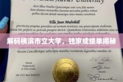 横滨市立大学，揭秘顶尖学府的成绩单背后
