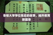 鲁顿学位之谜，探索教育革新的不为人知篇章