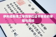解码伊利诺斯理工学院，学位证书背后的辉煌历程与深刻智慧