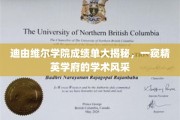 解码精英摇篮，迪由维尔学院成绩单背后的学术之光