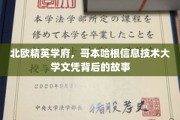 揭开哥本哈根信息技术大学精英光环的神秘面纱
