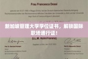 新加坡管理大学学位，助你通行全球职场新境界