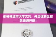 都柏林城市大学文凭，解锁国际职场新天地！