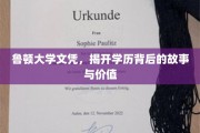 学历背后的奥秘，鲁顿大学文凭的深层价值解析