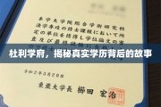 杜利学府，学历光环背后的真实轨迹