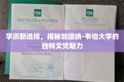 探索未来职场新利器，加德纳-韦伯大学独领风骚的文凭之道