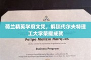 探索代尔夫特理工，荷兰精英学府的荣耀文凭之路