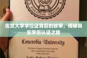 佐贺大学学位证背后的传奇，深度解析学历认证的奥秘之旅