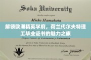 欧洲精英学府通行证，荷兰代尔夫特理工，揭秘毕业证书的全球影响力