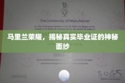 马里兰荣耀背后，揭开伪造毕业证的隐秘世界