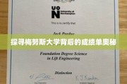 解码梅努斯大学卓越成就的神秘面纱