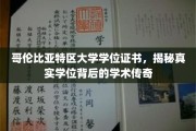 DC大学学位揭秘，探寻背后的学术辉煌与真实故事