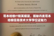 丹麦哥本哈根IT大学学位证背后的全球吸引力解析