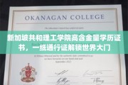 新加坡共和理工学院学历，全球通行，开启无限可能之旅