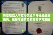 揭开学霸面纱，弗吉尼亚大学夏洛茨维尔分校成绩单背后的高效学习秘诀