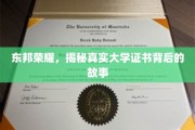 揭秘东邦荣耀，大学证书背后的传奇历程