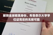 全球精英通行证，布鲁奈尔大学学位证开启非凡人生旅程