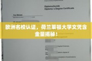 荷兰莱顿大学文凭，欧洲名校认证背后的价值解析