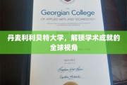 探索丹麦利利贝特大学的国际学术成就之路