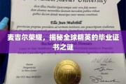 麦吉尔之光，解码世界精英证书背后的传奇故事
