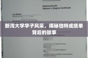 探寻新泻大学学子非凡成绩单背后的青春足迹